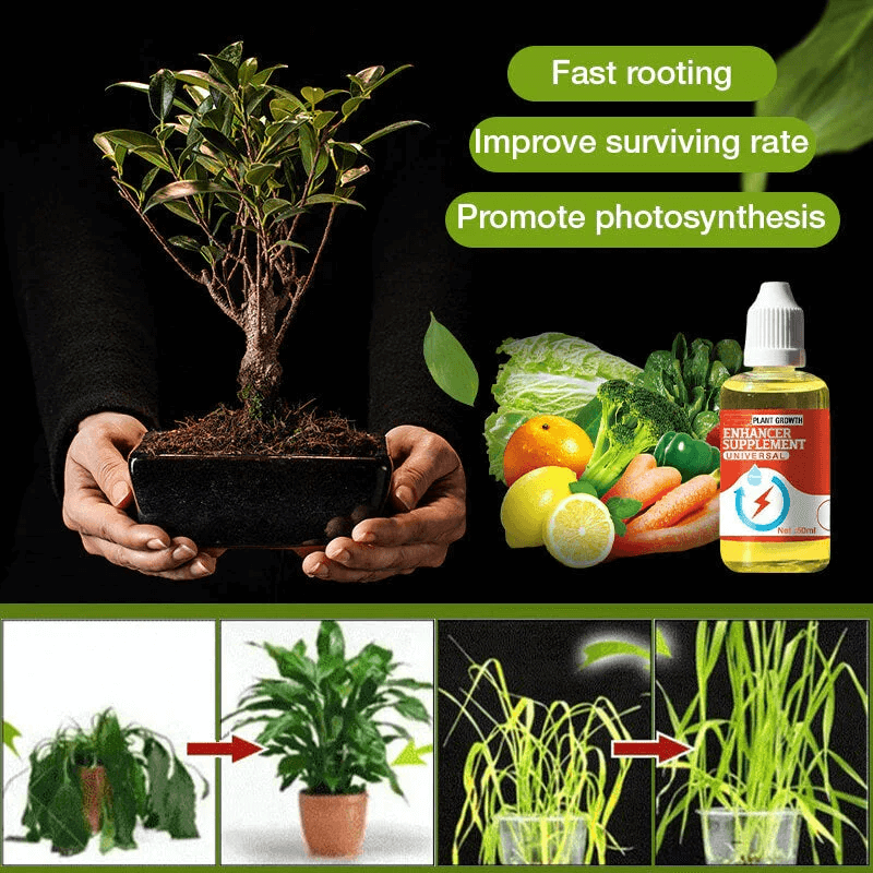 💥Last Day Promotion 49% OFF💥 Plant Growth Enhancer Supplement（BUY 1 GET 1 FREE）