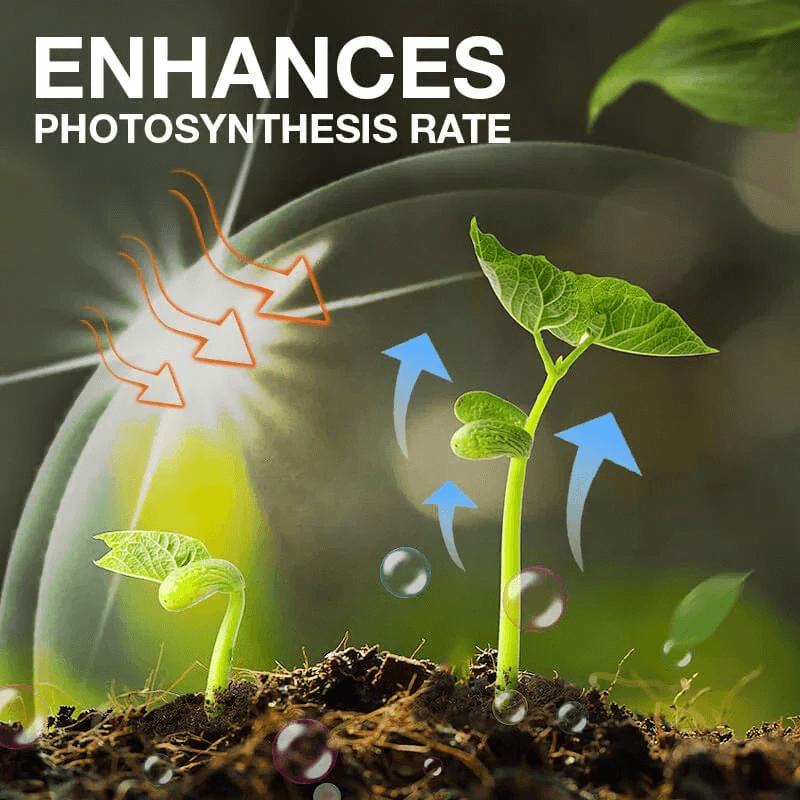 💥Last Day Promotion 49% OFF💥 Plant Growth Enhancer Supplement（BUY 1 GET 1 FREE）
