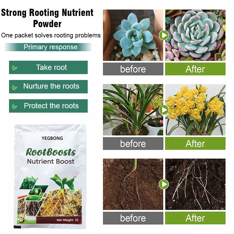 ✨Buy 5 Get 5 Free  Plant Hair Root Growth Nutrition Powder