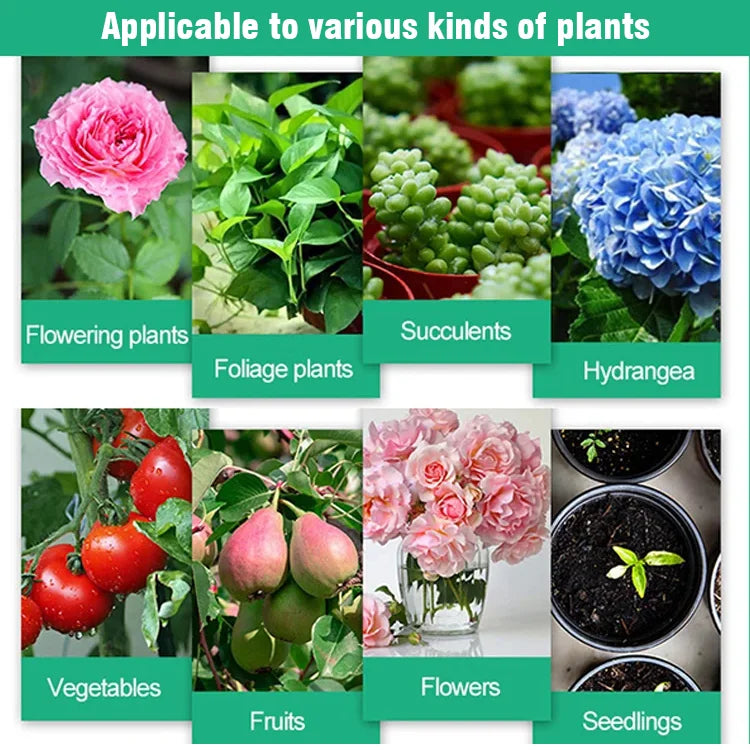 ✨Buy 5 Get 5 Free  Plant Hair Root Growth Nutrition Powder