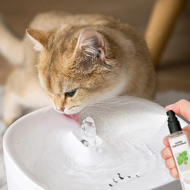 Catnip Liquid Spray - Safe, Pure, and Potent
